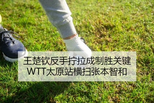 wang-chu-qin-fan-shou-ning-la-cheng-zhi-sheng-guan-jian-tai-yuan-zhan-heng-sao-zhang-ben-zhi-he-2-349.jpg